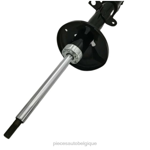 Accessoires Auto Belgique 8422604 | Amortisseur 333117 pour toyota corolla, pour l'arrière
