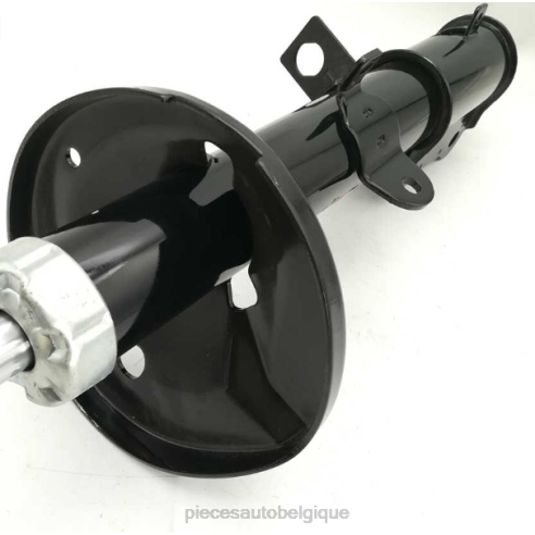 Accessoires Auto Belgique 8422604 | Amortisseur 333117 pour toyota corolla, pour l'arrière
