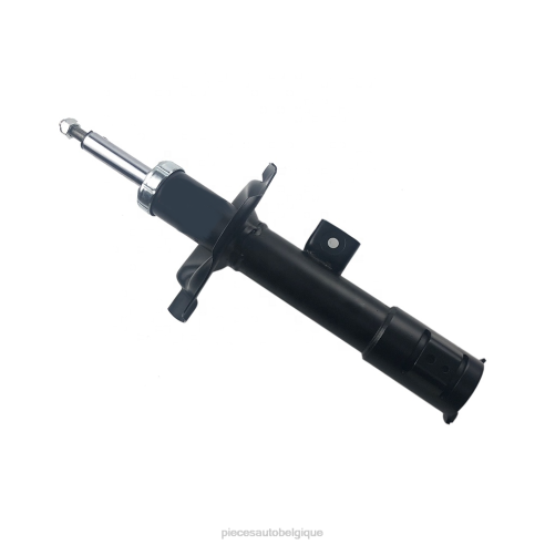 Accessoires Auto Belgique 8422644 | Amortisseur 339117 pour mitsubishi lancer 2007-2014 (339117), adapté à l'avant
