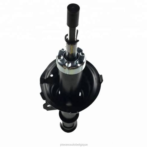 Accessoires Auto Belgique 8422654 | Amortisseur 332501 pour kia picanto, compatible avec l'avant