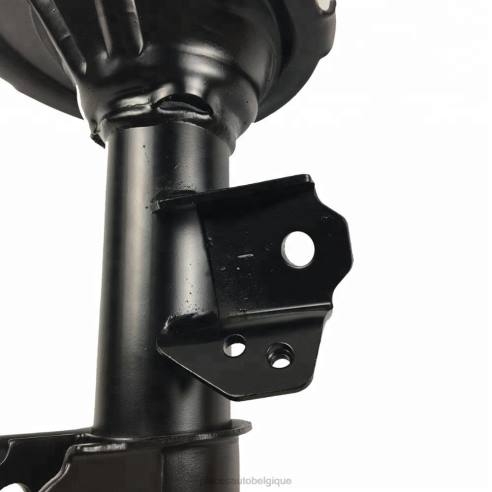 Accessoires Auto Belgique 8422654 | Amortisseur 332501 pour kia picanto, compatible avec l'avant