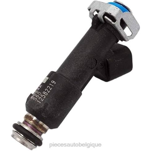 Pieces Moto Belgique 8422152 | 12582219 fj722 injecteur de carburant CHEROLET&GM