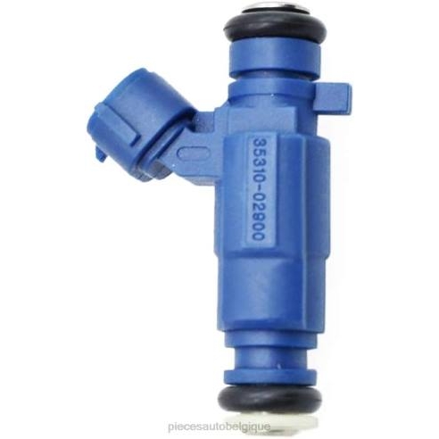 Pièces Automobiles Pas Chères 842290 | 35310-02900 injecteur de carburant HYUNDAI KIA