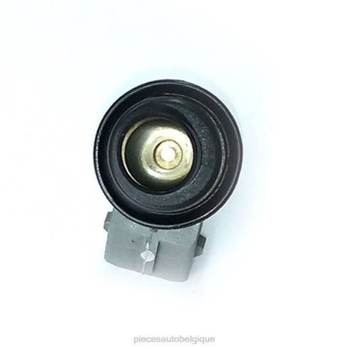 Pieces Voitures Belgique 8422385 | injecteur de carburant wp176 VW SKODA
