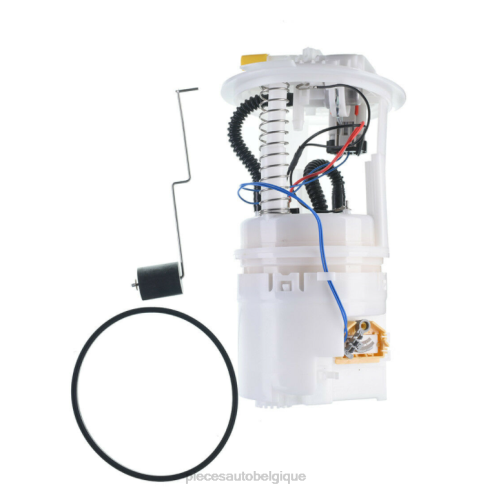 Accessoires Auto Belgique 84221034 | Module de pompe à carburant e7189m fg0928 p76095m pour chrysler