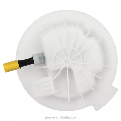 Pieces Occasion Moto Belgique 84221067 | Module de pompe à carburant e7245m sp7060m p76281m 68029546ab pour dodge