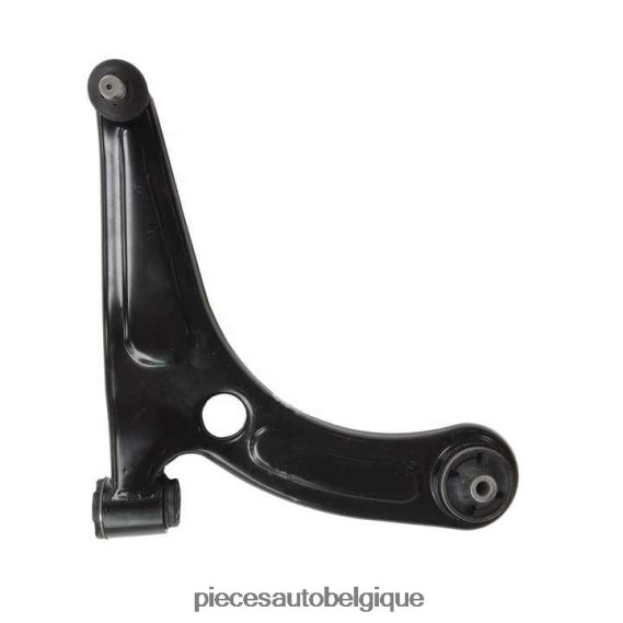 Accessoires Auto Belgique 2H84202874 Baojun bras de commande 24543769