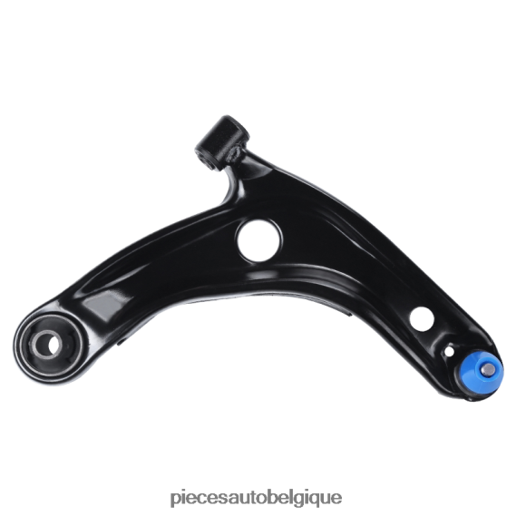 Pieces Auto Belgique 2H84202531 Buick bras de commande 9005698