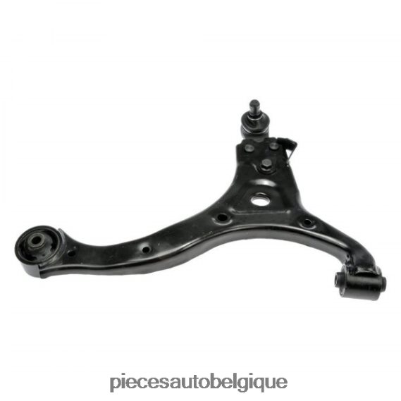 Pièces Automobiles Charleroi 2H84203029 Hyundai bras de commande 54501-4d101