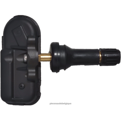 Accessoires Auto Belgique 46ZV62622 - Capteur de pression des pneus tpms baojun 23984663