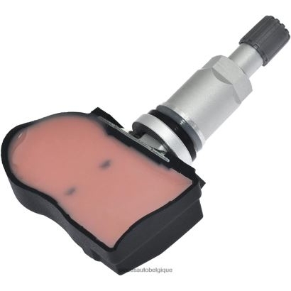 Accessoires Auto Belgique 46ZV63082 - tpms trumpchi le capteur de pression 8060004arx0000 433mhz