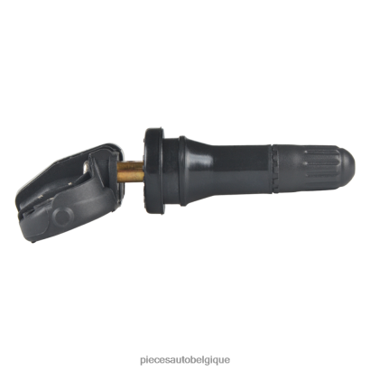 Accessoires Moto Belgique 46ZV62641 - Capteur de pression des pneus tpms hanteng 3617020001m11