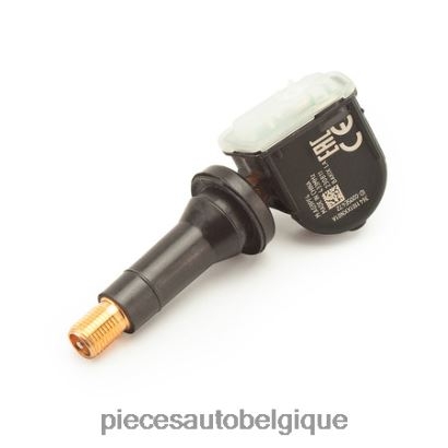 Accessoires Moto Belgique 46ZV63041 - Tpms haval/gwm le capteur de pression 3641101akn01a 433mhz
