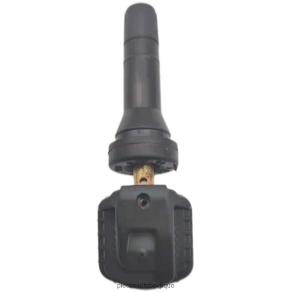 Pièces Automobiles Pas Chères 46ZV63098 - Tpms jianghuai le capteur de pression b00019849 433mhz