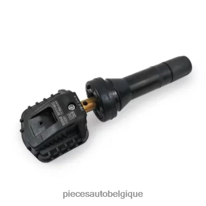 Pieces Auto Belgique 46ZV63079 - tpms changer le capteur de pression 3601010mk02 433mhz