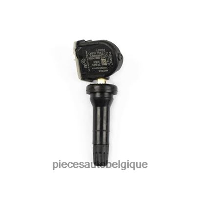 Accessoires Auto Belgique 46ZV62672 - Capteur de pression des pneus tpms buick/cadillac/chevrolet/gmc 13589597