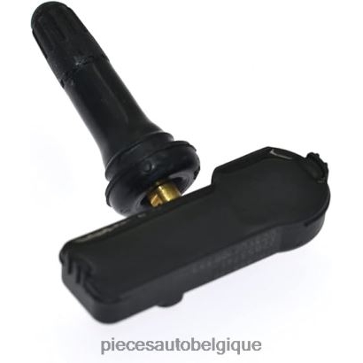 Accessoires Auto Belgique 46ZV62732 - Capteur de pression des pneus TPMS Chevrolet 15254101