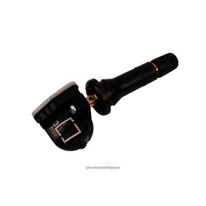 Accessoires Moto Belgique 46ZV62661 - Capteur de pression des pneus tpms buick/cadillac/chevrolet/gmc 13598772