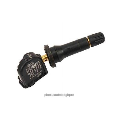 Accessoires Moto Belgique 46ZV62661 - Capteur de pression des pneus tpms buick/cadillac/chevrolet/gmc 13598772